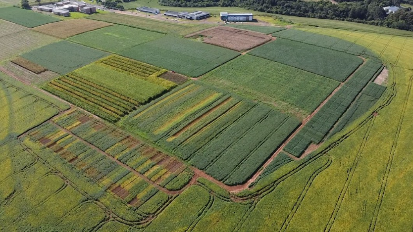 Captura de tela 2024-12-23 152138 Captura de tela 2024-12-23 152138